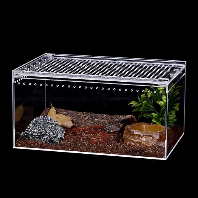 NANEEZOO Magnetic Acrylic Large Enclosure 2.5 Gallon 12 x 8 x 6 Inch Reptile Breeding Box Terrarium Cage for Insect Tarantulas Amphibians Caterpillars Snail Clear Acrylic Reptile Feeding Box