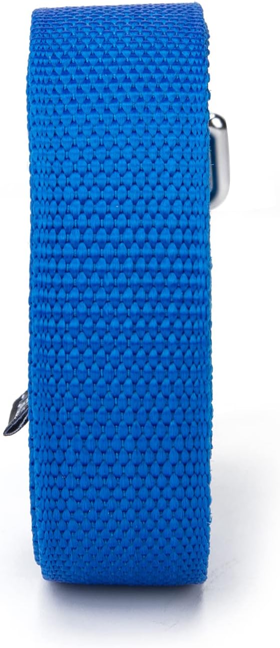 Strong Durable Nylon 15ft Long Dog Training Leash, Traction Rope, 1 Inch Wide, for Small and Medium Dog (Blue, 15 Feet)