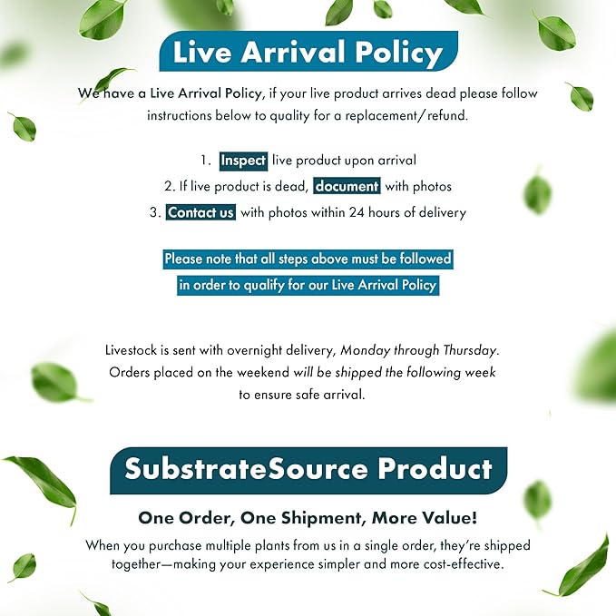 Anubias Live Aquarium Plants - Anubias Nana Tropica (Anubias barteri Nana) - Low Light Epiphytic Rhizome for Foreground to Midground Freshwater Aquascapes, Dark Green Accent - Pot