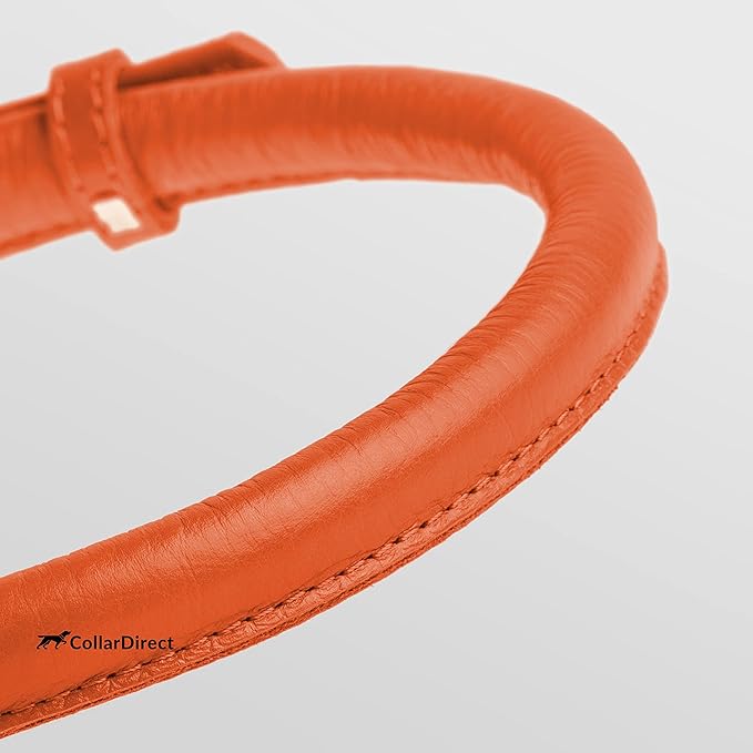 CollarDirect Rolled Leather Dog Collar, Soft Padded Round Puppy Collar, Handmade Genuine Leather Collar Dog Small Large Cat Collars 13 Colors (15-19 Inch, Orange Textured)
