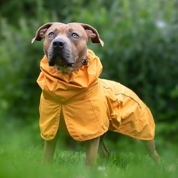 Spark Paws Dog Raincoat, Waterproof Windproof Rain Jacket, for Small Medium Large Extra Large Dogs, Reflective Breathable Full-Body Coverage Dry Suit - Mustard Yellow - 3XL