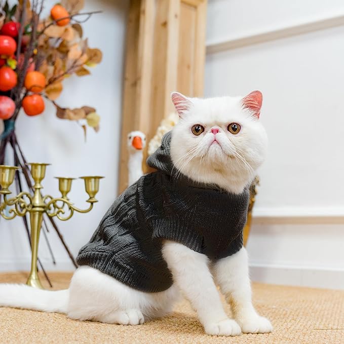 PUPTECK Winter Dog Cat Sweater Coat - Soft Cold Weather Clothes Knitwear for Kitties & Small Dogs Indoor Outdoor Walking Warm, Knitted Classic for Doggies Kitties Girls Boys, Black S