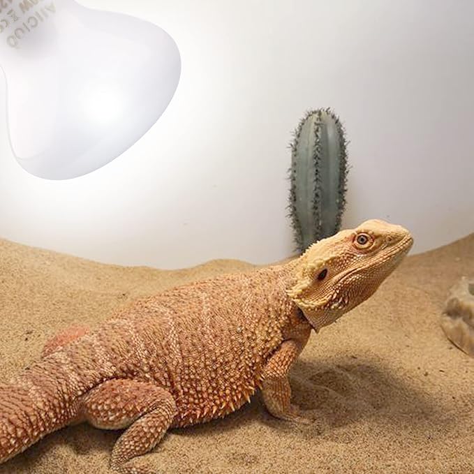 Aiicioo Reptile Basking Light Bulb - 50W Reptile Heat Lamp 2 Pack UVA Daylight Amphibians Basking Bulb for Bearded Dragon Turtle Hermit Crab Gecko Lizard Daylight