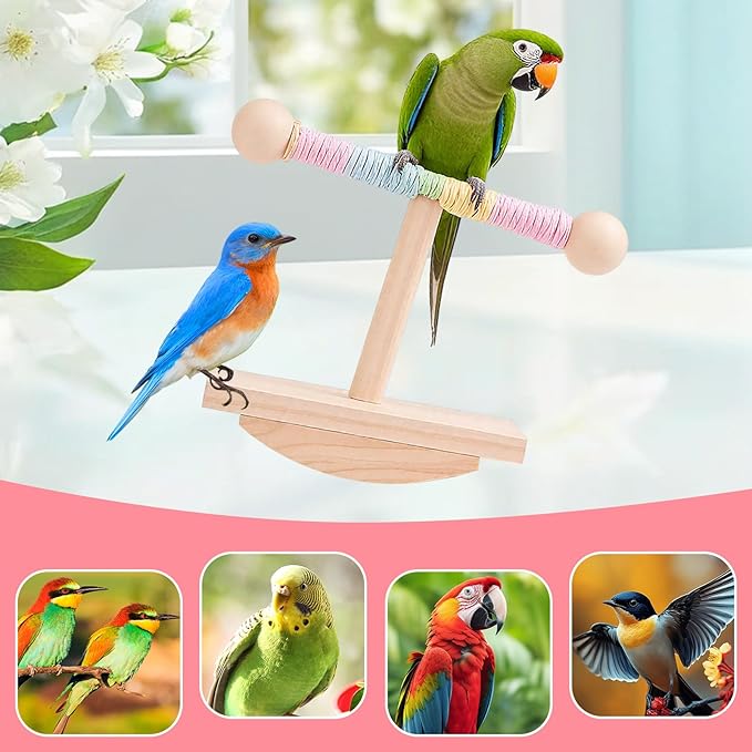 Parakeet Toys, Natural Wood Bird Perch Stand Training, Intelligence Puzzle Enrichment Toys for Parakeets,Wood Stand Toy for for Parakeets Budgies Conures Lovebirds Cockatiels (B, M)
