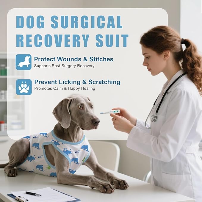 Recovery Suit for Dogs After Surgery, Professional Dog Surgical Suit for Female Spay, Male Neuter, E-Collar & Cone Alternative Dog Onesie for Abdominal Wounds Skin Disease, Blue, L