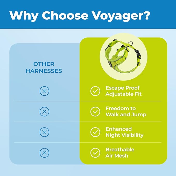 Voyager Escape Proof Cat Harness and Leash Set with Reflective Stitching, Neoprene Handle 5ft - Supports Small, Medium and Large Cats, Kittens for Walking by Best Pet Supplies - Lime, S