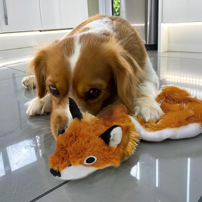 Best Pet Supplies Squeaky Dog Toys with Soft Durable Fabric for Small, Medium and Large Pets Interactive Toy for Indoor Play, Supports Active Biting and Play - Fox, Medium