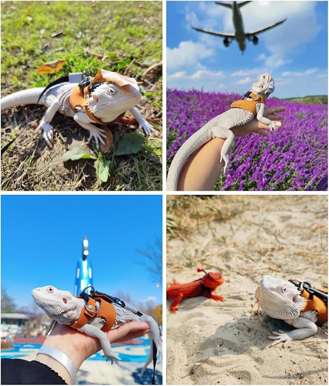 Reptile Pets Leash Harness Set with Jackets and a Hat for Bearded Dragon Lizard, Leopard Gecko and Other Small Animal Pets, Outdoor Play