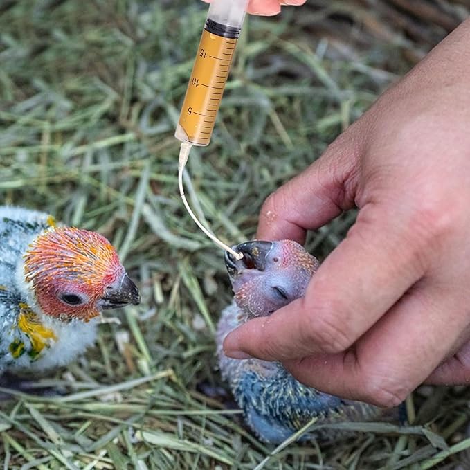 Baby Bird Feeding Syringe Set, Pet Parrot Milk Feeding Syringe with Tubes, Parrot Feeding Tubes Measuring Tools for Feeding Pets Scientific Industrial Labs… (10ml+20ml+60ml)