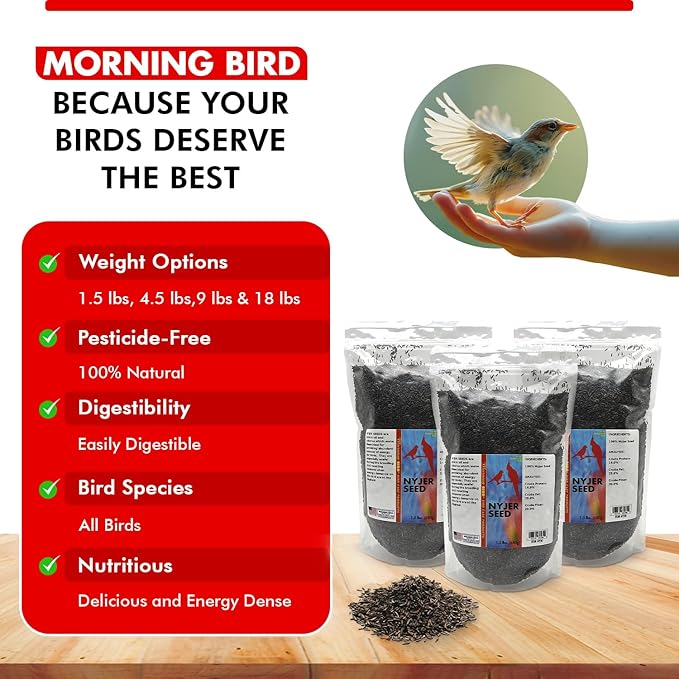 Morning Bird Nyjer Seed for Birds 4.5 lbs (3-Pack, 1.5 lbs Each)– Energizing Nutrition with Rich in Vitamins and Supplements – Ideal Bird Food for Breeding & Molting – Finch Seed for All Birds
