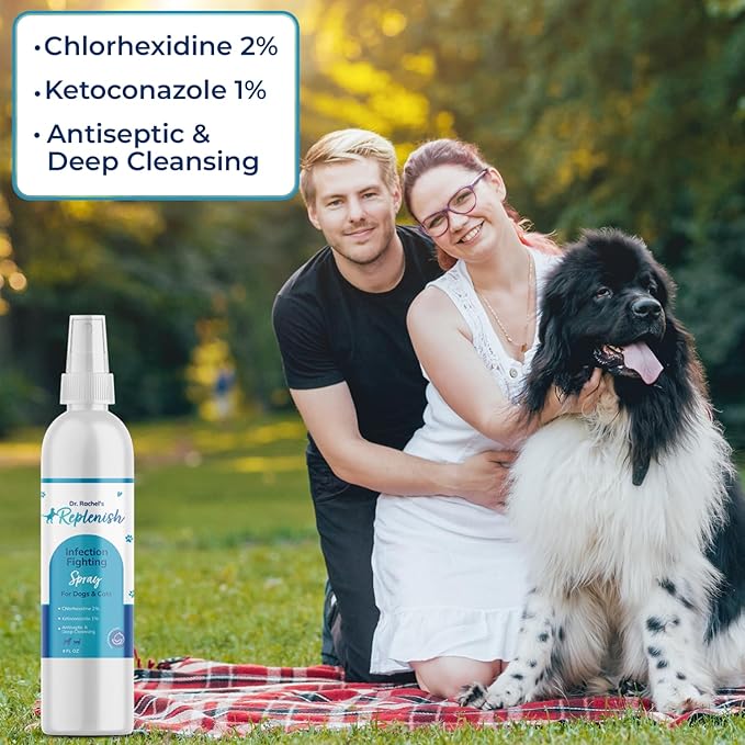 Replenish Antiseptic Spray for Dogs β Medicated Anti Itch Spray for Pets β Chlorhexidine & Ketoconazole Pet Spray β Dog Itching Skin Relief - Antiseptic Spray for Cats Skin Allergy β 8 oz