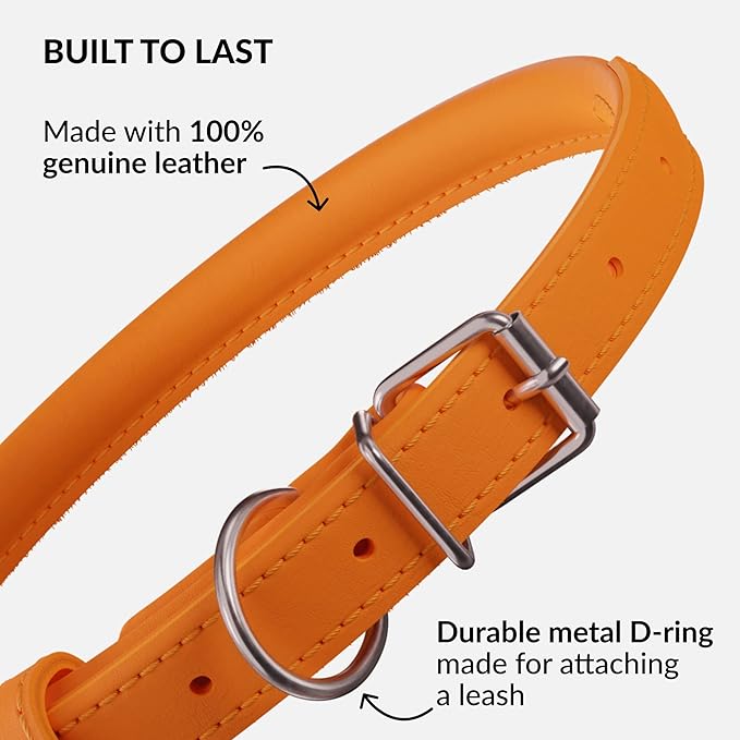 CollarDirect Rolled Leather Dog Collar, Soft Padded Round Puppy Collar, Handmade Genuine Leather Collar Dog Small Large Cat Collars 13 Colors (15-19 Inch, Orange Smooth)