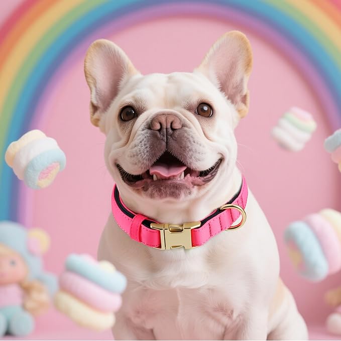 Didog Soft Padded Dog Collars for Medium Dogs, Colorful and Durable Dog Collar with Quick Release Buckle, Light and Breathable for Daily Walking, Pink, M