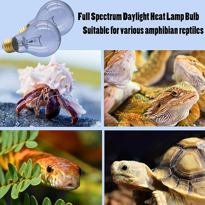 Reptile Heat Lamp Bulb 100 Watt, Full Spectrum Daylight Amphibians Basking Spot Light Bulb for Bearded Dragon, Gecko, Hermit Crabs, Lizard, Neodymium Blue Infrared Light Bulbs, E26 Base, 2 Pack