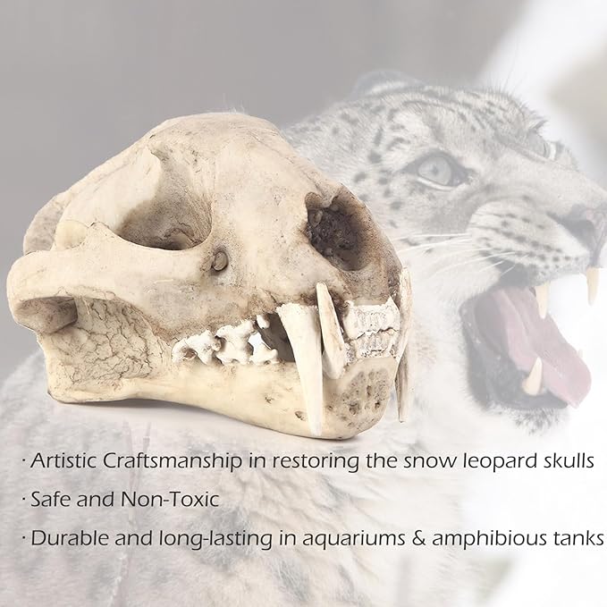 Aquarium Dรฉcor Cave Decorations Fish Hideout Betta Tarantula Reptile Snake for Terrarium Ornament Dinosaur Animal Skull Large Bones Halloween