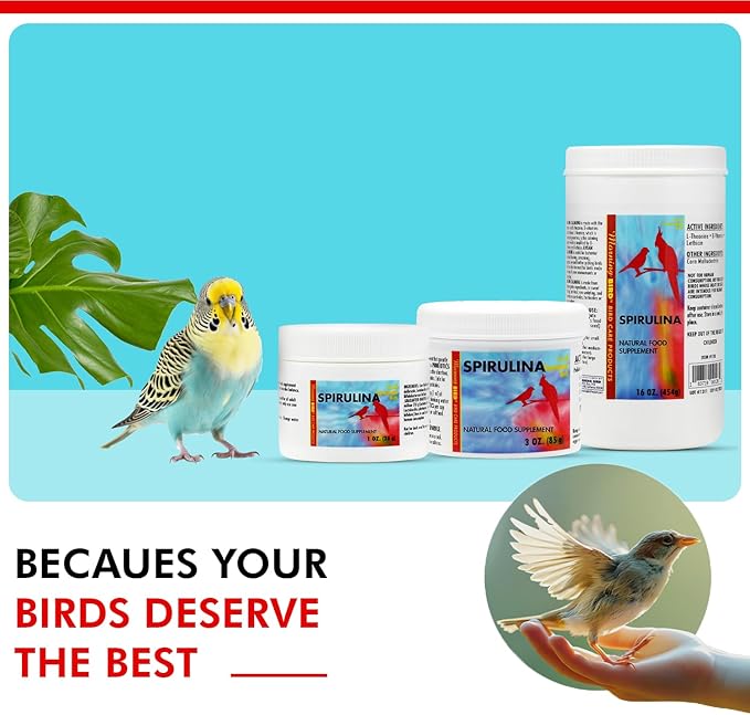 Morning Bird Spirulina 1 Oz Supplement for Caged Birds, Organic Bird Food Supplement with Vitamins, Proteins, and Amino Acids for Parakeets, Cockatiels, Budgies, Finches, Canaries, and Parrots