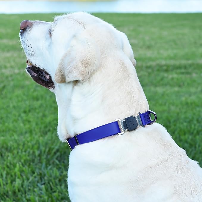 Dogline Biothane Waterproof Dog Collar with Herm Sprenger Black Stainless Steel Quick Release Buckle – Heavy Duty Tactical Durable Collar for Dogs – Comfortable and Safe Pet Collar, W 3/4" L 12-19"