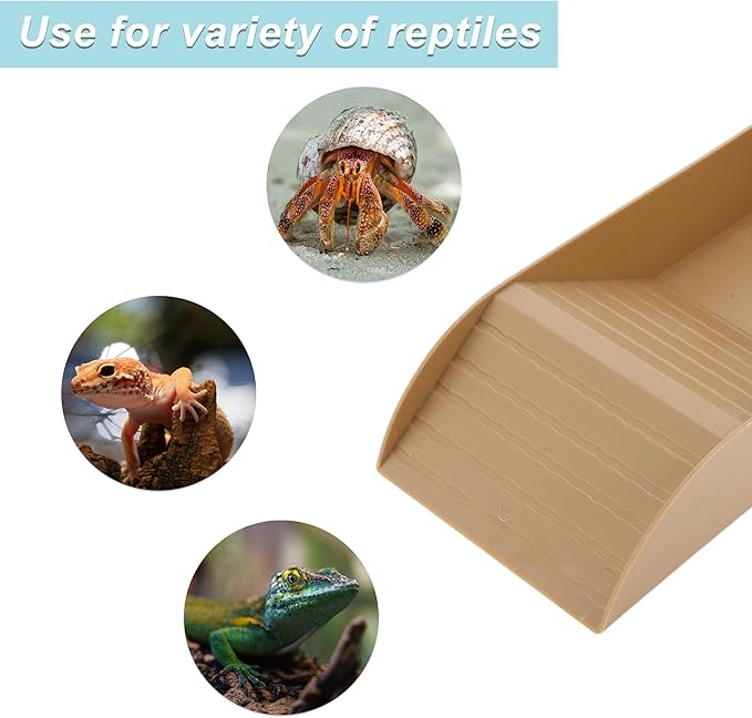 Tortoise Food Dish with Ramp, Plastic Reptile Water Bowl, Tortoise Water Pool, Reptile Climbing Ramp for Turtles Lizards, 12.01"x5.91"x2.36", Brown