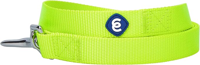 Blueberry Pet Essentials Highlighter Yellow Dog Leash for Small -5' * 5/8" Dogs | Heavy Duty Nylon Lead | Lightweight Puppy & Cat Leash for Walking & Training