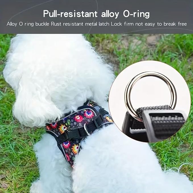 Step in Dog Harness No Pull Flower Adjustable Soft Mesh Padded Reflective Pet Vest Harness and Leash Set for Small Medium Dogs