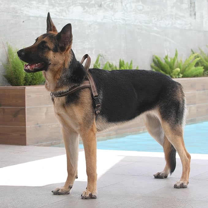 Plutus Pet No Pull Dog Harness with Breathable Mesh Padded, Adjustable Reflective Escape Proof Dog Harness, Quick Fit Dog Vest Harness for Small Medium Large Dogs(XXS, Chocolate)