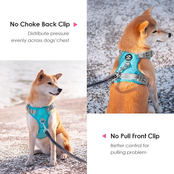 PHOEPET No Pull Dog Harness, Unique Colors Reflective Adjustable Dog Vest, with Soft Training Handle Metal Clips for Small Medium Large Dogs (Mint Green Base & Grey Straps,M)