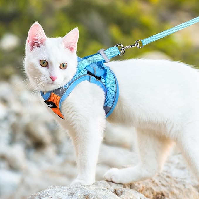 Dooradar Cat Harness and Leash Set, Escape Proof Lightweight Kitten Harness, Soft Breathable Reflective Vest for Outdoor Walking Traveling, Adjustable for Medium Cats, Orange & Blue, M