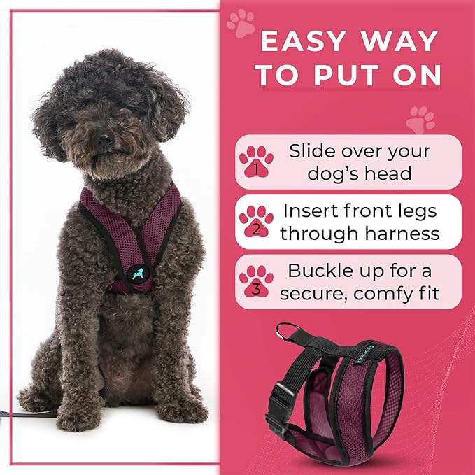 Gooby Comfort X Head In Harness - Purple, Medium - No Pull Small Dog Harness, Patented Choke-Free X Frame - Perfect on the Go Dog Harness for Medium Dogs No Pull, Small Dogs for Indoor and Outdoor Use