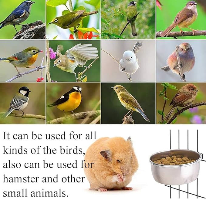 Kathson 2 Pack Bird Feeding Dish Cups, Stainless Steel bird bowls Parrot Feeders Water Cage Bowls with Clamp Holder Bird Feeders for Parakeet Cockatiels Conure Budgies Lovebird Finch and Small Animals