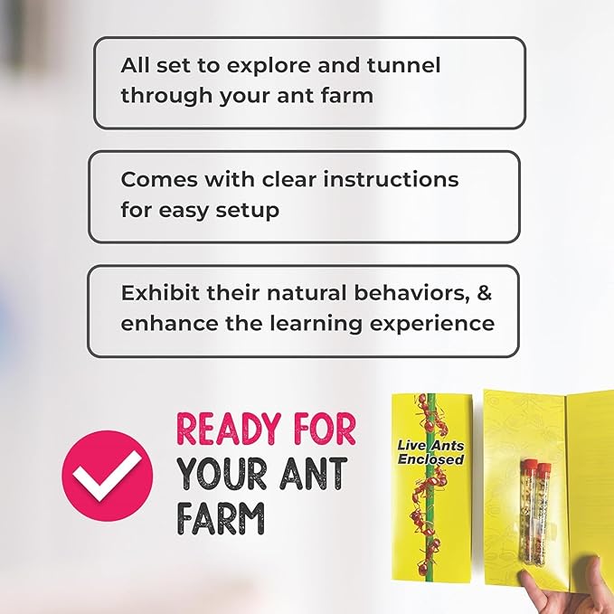 50 Live Red Harvester Ants with 10oz Sand for Ant Habitats – Live Arrival, Shipped Now – Perfect for Educational Science Projects & Interactive Habitat Experience