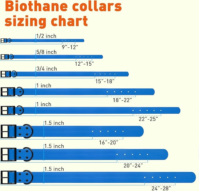Dogline Biothane Waterproof Dog Collar Strong Coated Nylon Webbing with Black Hardware Odor- Proof for Easy Care Easy to Clean High Performance Fits Small Medium or Large Dogs, Cerulean Blue