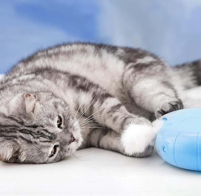 Migipaws Hide & Seek Replacements - 2 Plush Balls & Tails with Catnip, Kitty Kitten Catnip Exercise Toys