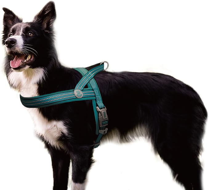 DOCO No-Pull Dog Harness Halter Reflective Easy-Control Harness for Training, Walking, and Preventing Pulling, Ideal for Medium Dogs(Turquoise)
