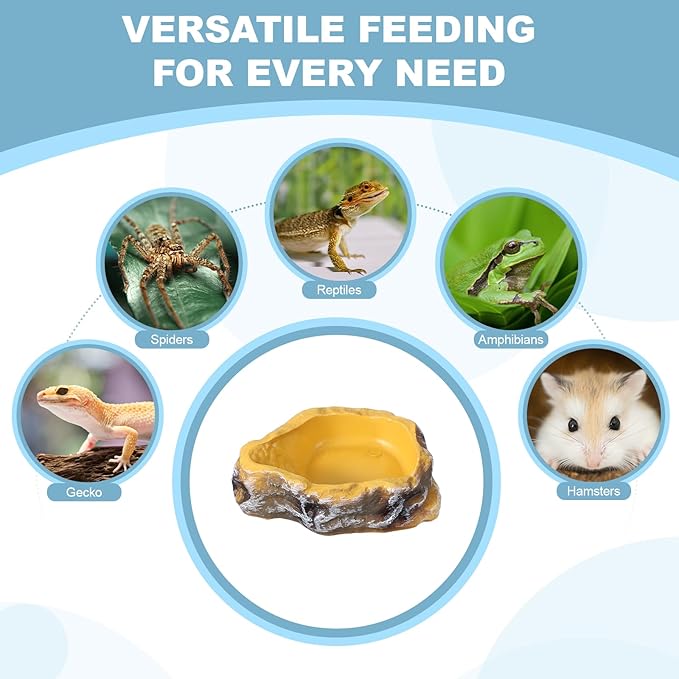 Reptile Food Bowl, Reptile Feeding Dish Corner Bowl Water Resin Rock Worm Feeder Dish m (7.1 in, Yellow), Intended for Lizards/o/Scaled Pet/Leopard o/Spiders