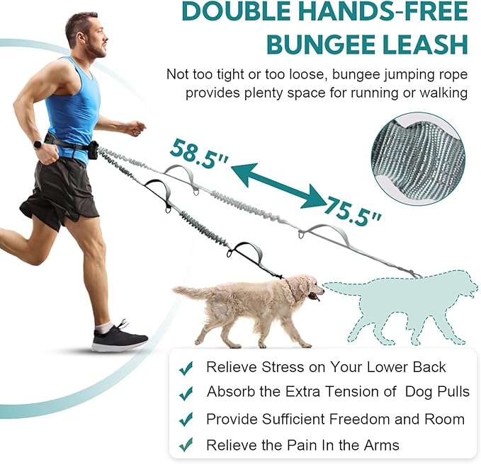 Hands Free Dog Leash with Pouch, Double Leash for Two Dogs, Retractable Bungee with Double Padded Handles, Dog Waist Leash for Dog Walking, Running Leash for Dogs, Dog Walking Accessories