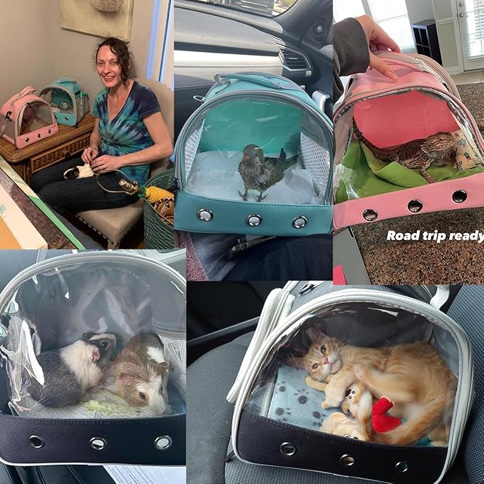 Guinea Pig Carrier Backpack, Clear Bubble Window Backpack for Guinea Pig, Bunny Rat Bird (Grey, Carrier)