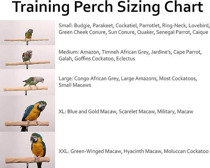 Parrot Training Perch Kit (Standard, Small)