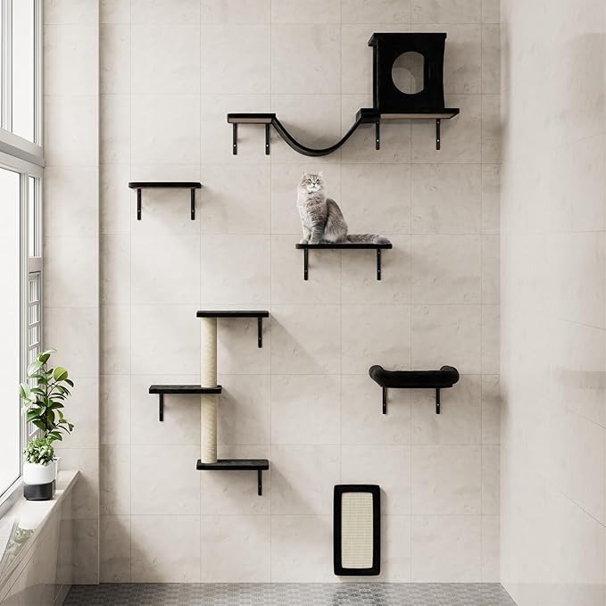 NUNU LAB Wall Mounted Cat Furniture, 6 Pcs Cat Wall Shelves with Condo House, Bridge, Steps, Scratcher, Hammock, Indoor Safe & Stable Furniture for Kittens Play, Black