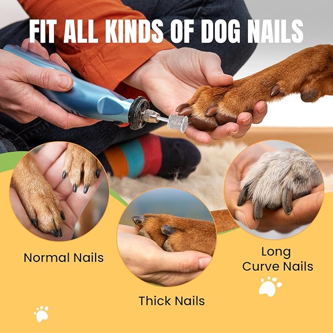 CAELUM 2Pack Diamond-Coated Pet Nail Grinder Bits, Dual Grit for Large & Small Dogs, 1/8” Shank for Dremel Nail Tools, Low Noise, Durable Nail Trimmer for Dogs, Top & Side Grinding