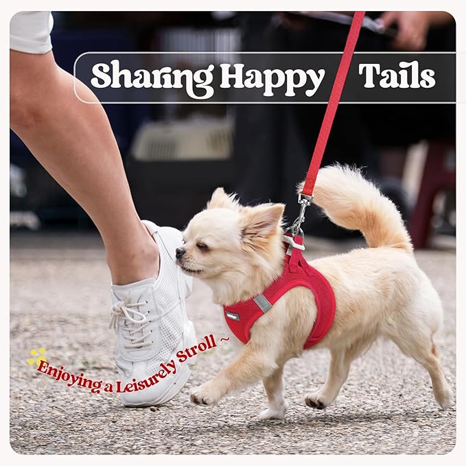 rabbitgoo Dog Harness Small Sized and Leash Set, Step in Soft Light Puppy Vest, Breathable Mesh Pet Harness, Reflective for Safe Easy Walking, Red M