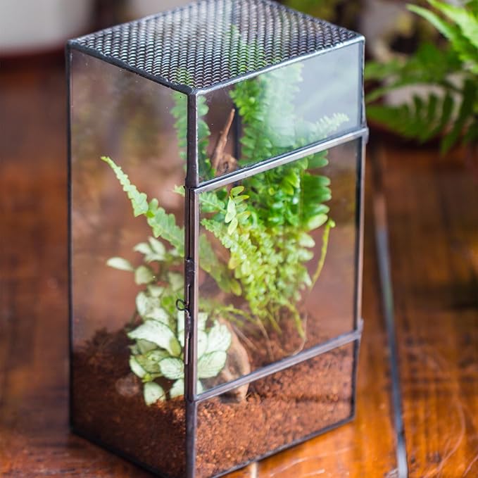NCYP Glass Terrarium with Door and Mesh for Small Insects - 5.1 x 3.9 x 9 Inches Rectangle Reptile Habitat, Black - Modern Home Tabletop Decor (Terrarium Only)