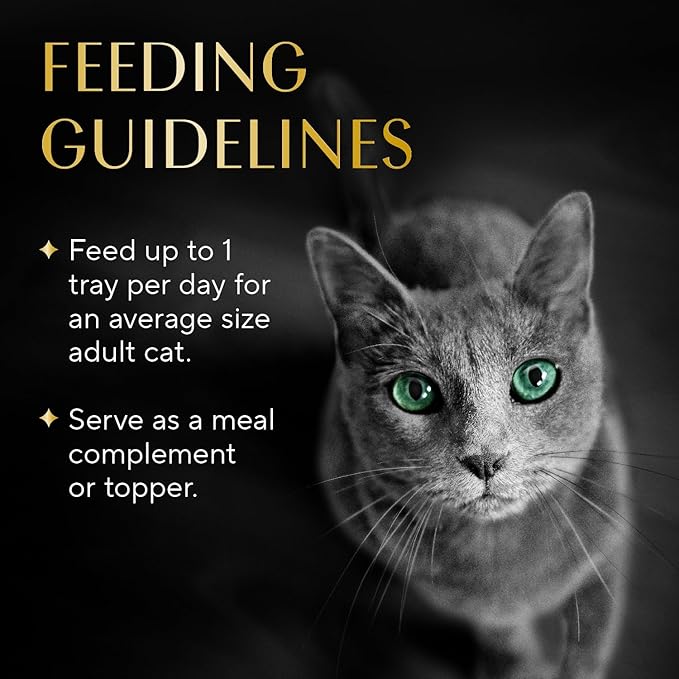 Sheba Selections Filets in Broth Adult Wet Cat Meal Complement Chicken & Tuna Recipe, 1.3 oz. Cups, 12 Count