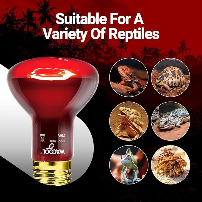 WACOOL 4 Pack Reptile Heat Lamp Bulbs,75W Infrared Basking Spot Light for Reptiles & Amphibians, Red Heat Lamp Bulb for Bearded Dragon Gecko Turtle Lizard (75, Watts)…