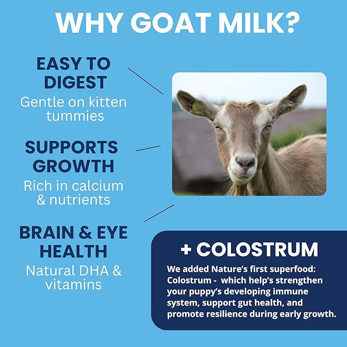 Under the Weather Kitten Milk Replacement Powder + Colostrum for Cats & Kittens | Goat Milk Replacer Powder | Goat-Based Formula with Colostrum for Immune & Digestive Support - 12 oz