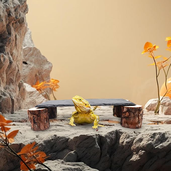 Bearded Dragon Basking Platform, Slate Rocks for Reptiles with Wooden Pile, Leopard Gecko Hides and Caves, Reptile Tank Accessories for Bearded Dragons, Geckos, Ball Pythons, Tortoise (Black, Small)