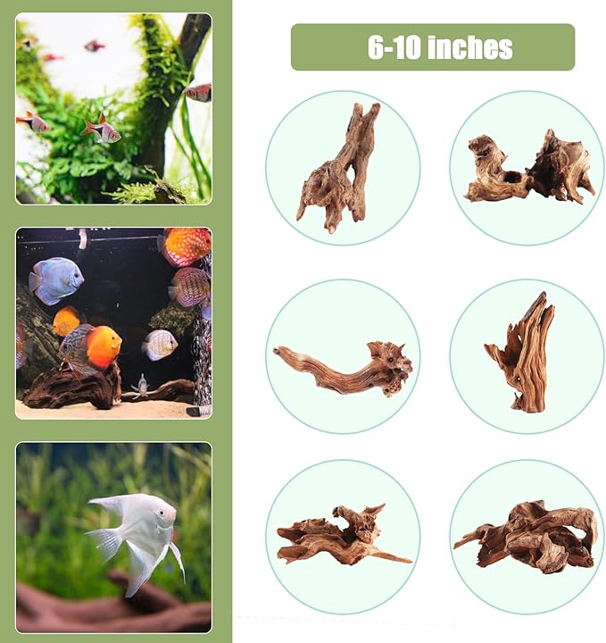 LYPHARD AQUARIUMS Driftwood for Aquarium, 3 Pieces 6-10" Natural Small Drift Wood Fish Tank Assorted Branch Decorations Pieces for Reptile Hide