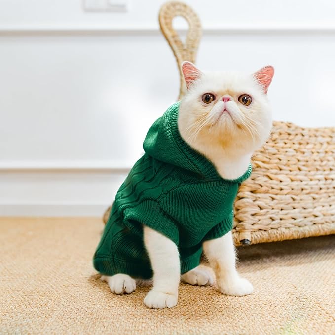 PUPTECK Winter Dog Cat Sweater Coat - Soft Cold Weather Clothes Knitwear for Kitties & Small Dogs Indoor Outdoor Walking Warm, Knitted Classic for Doggies Kitties Girls Boys, Green L