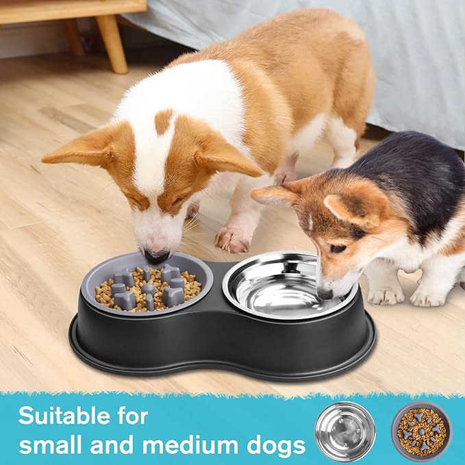 Dog Bowls Double Dog Water and Food Bowls Stainless Steel Bowls with Non-Slip Resin Station, Pet Feeder Bowls for Puppy Medium Dogs Cats
