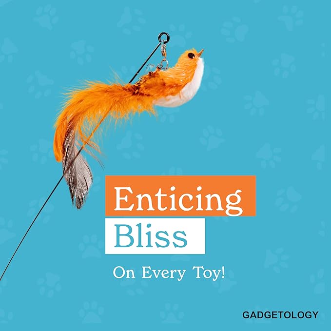 Interactive Bird Simulation Cat Toy Set for Bored Indoor Adult Cats Feather Toy Wand 5 Pcs Natural Bird Feathers Stable Round Base Wand Cat Toys for Indoor Cats Hunting Toys