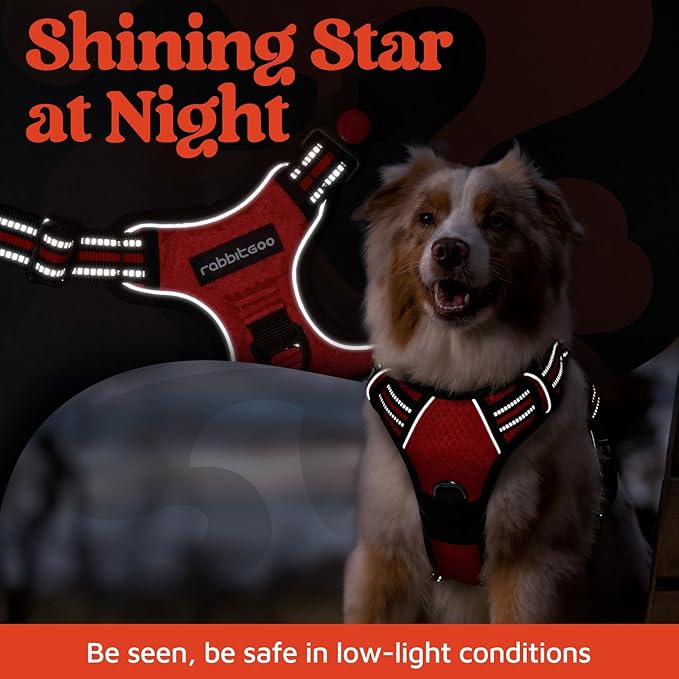 rabbitgoo Dog Harness for Large Dogs, No Pull Pet Vest with 3 Buckles, Adjustable Soft Padded Pet Harness with Easy Control Handle and Reflective Strips, Red, L
